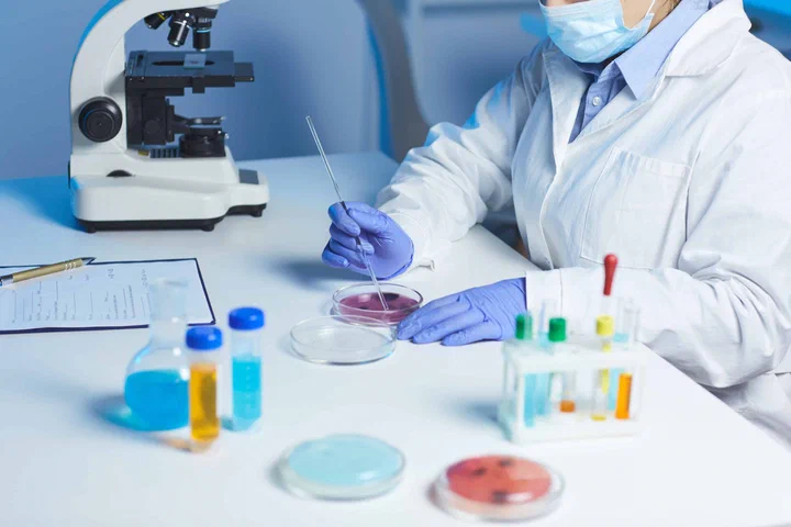 Cercetător care studiază microorganisme într-un laborator