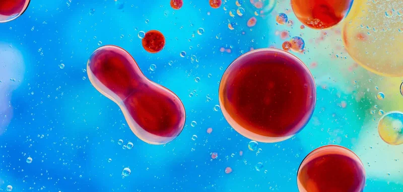 Rolul bacteriilor benefice în menținerea unui sistem imunitar puternic