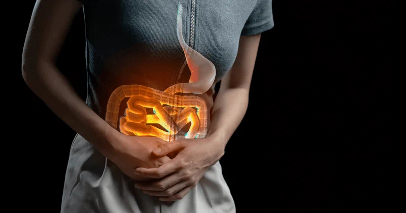 Secretul unui tranzit intestinal normal