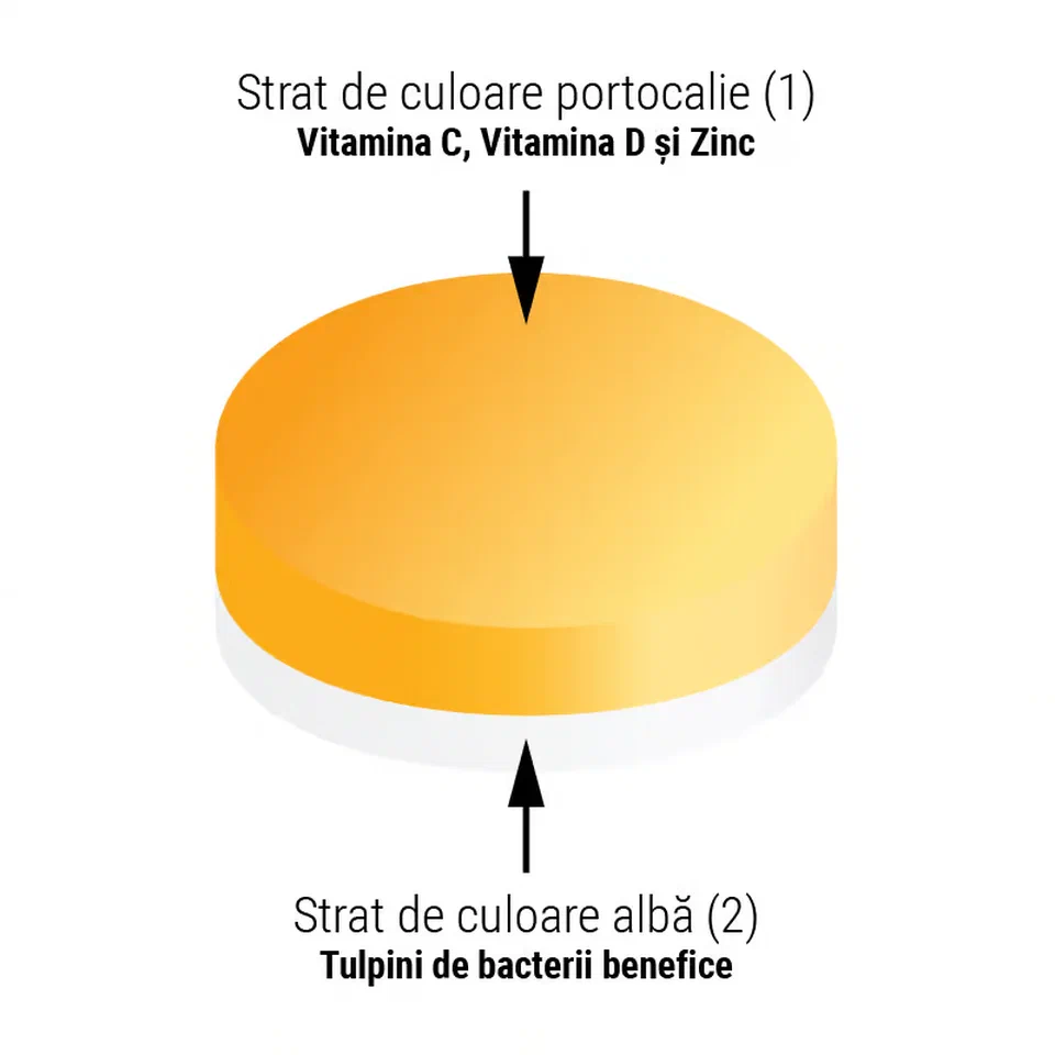 Diagramă cu cele două straturi ale comprimatului Eubiotic ImunoFLU